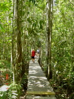 siamsmiletravel-jungle 3